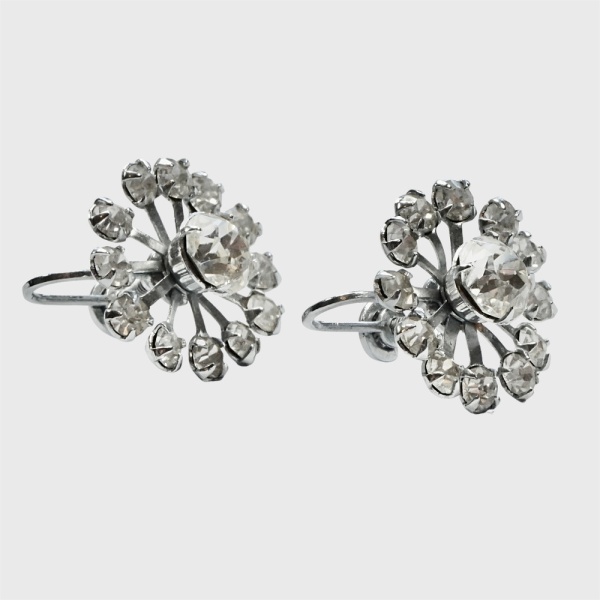 Silver Tone and Rhinestone Screw Back Earrings